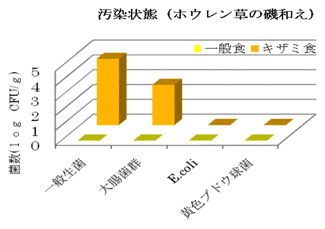 ほうれん草の磯和え　汚染状態